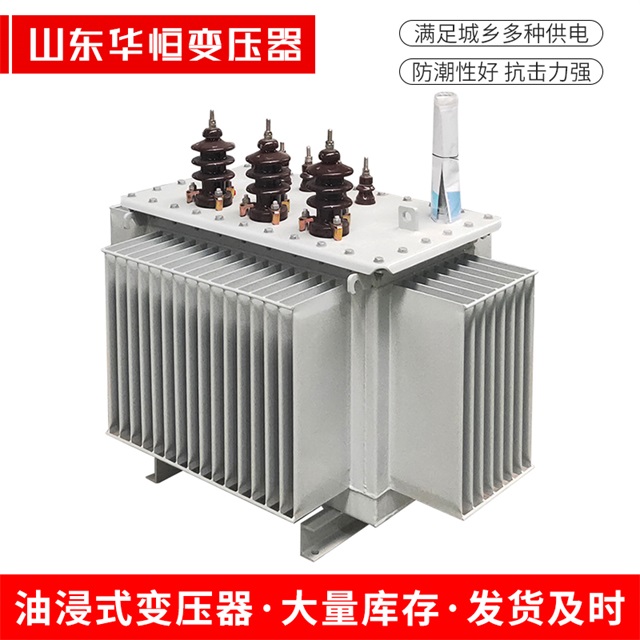 S13-10000/35牡丹牡丹牡丹油浸式变压器厂家